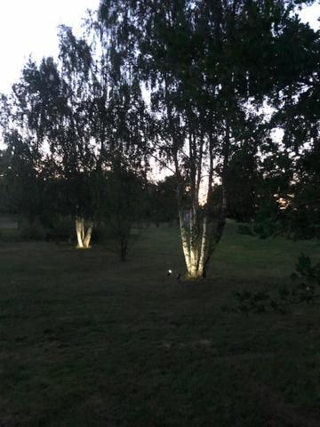 Country house Des 2 Arbres De La Sagesse , Agreable Avec Privatif Ardentes