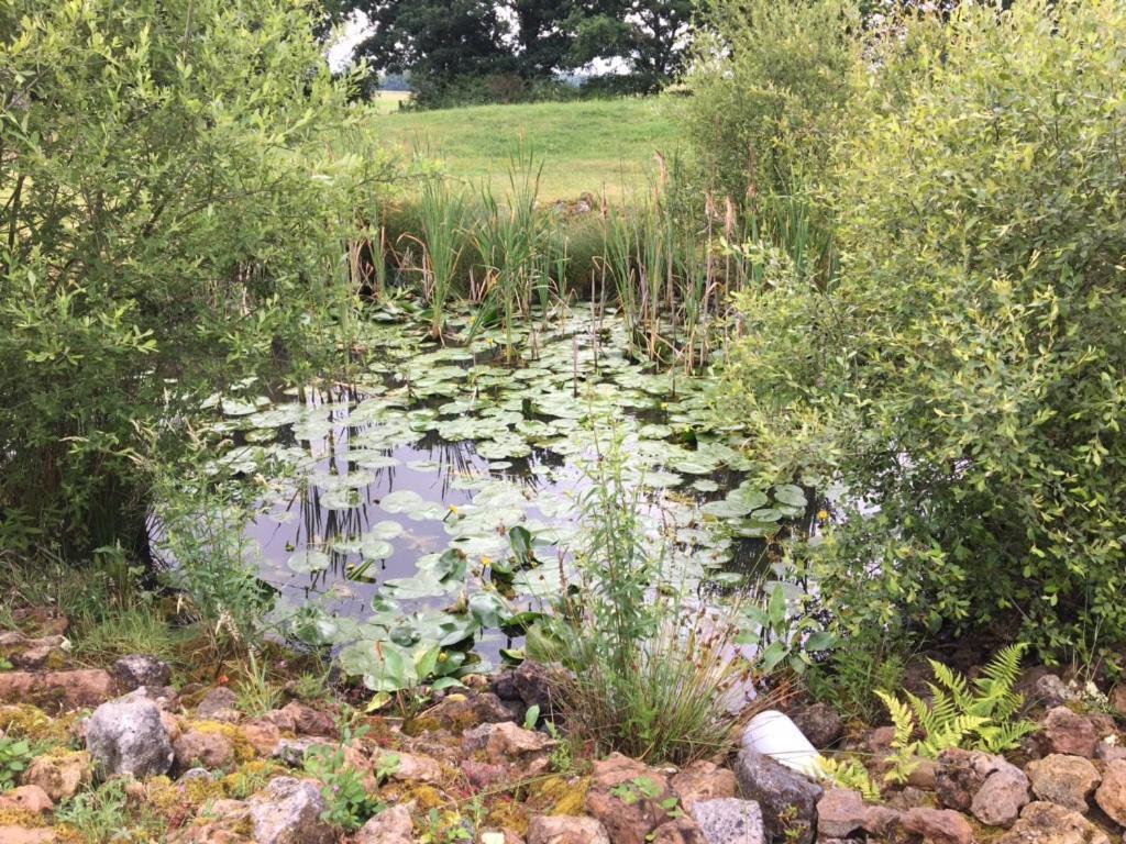 Country house Des 2 Arbres De La Sagesse , Agreable Avec Privatif